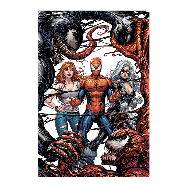 Poster - Spider-Man - Venom vs Carnage