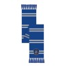 Scarf & Glove - Harry Potter - Ravenclaw