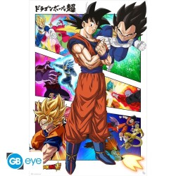 Poster - Rolled and shrink-wrapped - Dragon Ball - Panels