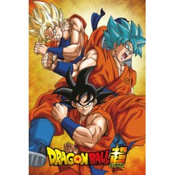 Poster - Roulé et filmé - Dragon Ball - Son Goku