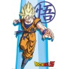 Poster - Roulé et filmé - Dragon Ball - Son Goku