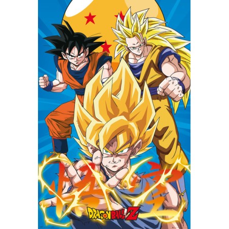 Poster - Roulé et filmé - Dragon Ball - Son Goku