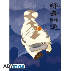 Poster - Pack de 2 - Avatar, Le Dernier Maître de l'Air - Appa & Carte