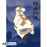 Poster - Pack de 2 - Avatar, Le Dernier Maître de l'Air - Appa & Carte