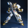 Model - High Grade - Gundam - Astray Gold Frame