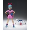 Figurine articulée - Dragon Ball - Capsule No.1 Capsule House