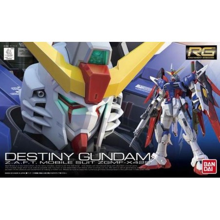 Model - Real Grade - Gundam - Destiny