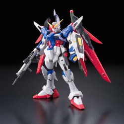 Model - Real Grade - Gundam - Destiny