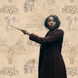 Wand - Ollivander Collection - Fantastic Beasts - Lally Hicks