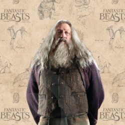Baguette - Collection Ollivander - Les Animaux Fantastiques - Abelforth Dumbledore