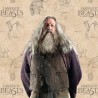 Baguette - Collection Ollivander - Les Animaux Fantastiques - Abelforth Dumbledore