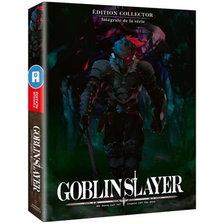 DVD - Édition Collector - Goblin Slayer - Goblin Slayer - Saison 1 - Edition Collector - 2 BR