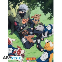 Poster - Flat - Naruto - Kakashi Hatake