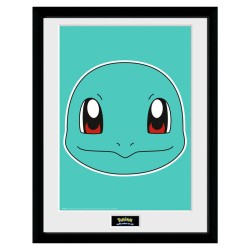 Frame  - Pokemon - Squirtle