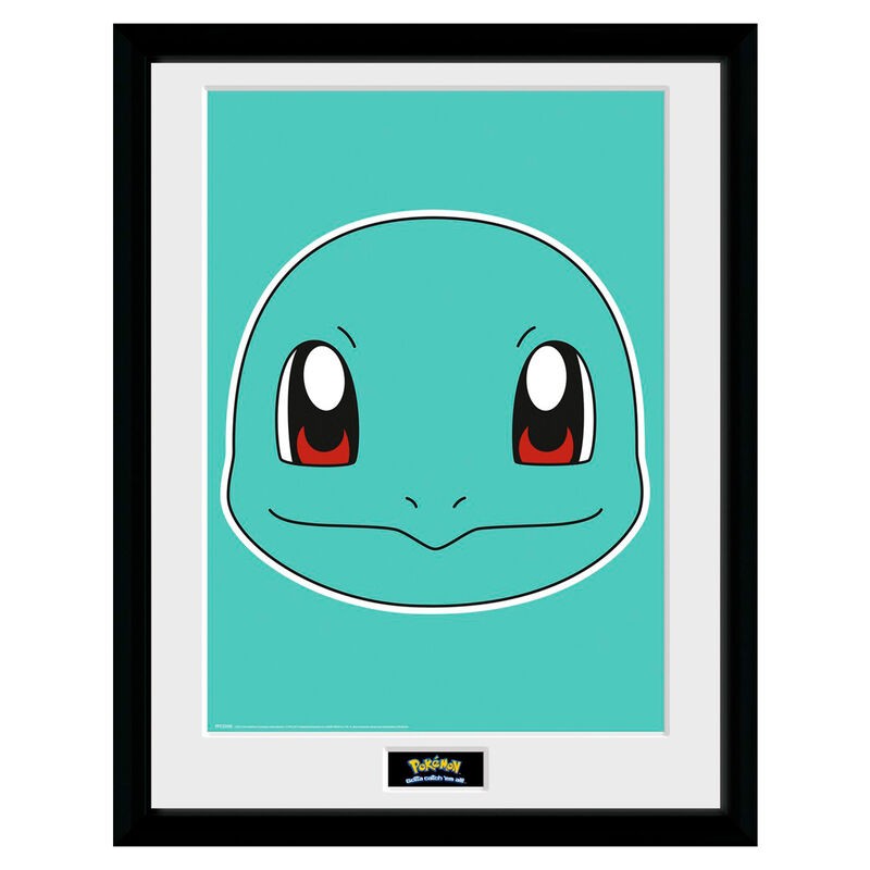 Frame  - Pokemon - Squirtle
