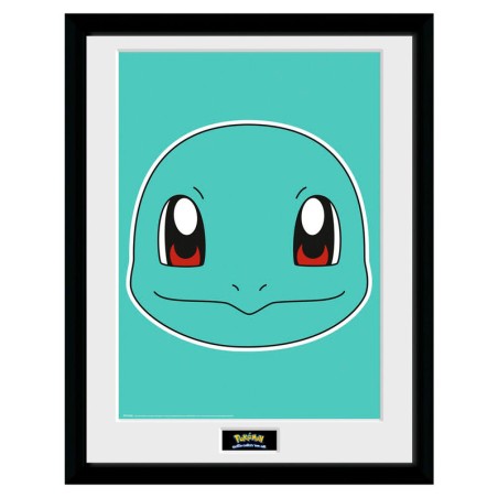 Frame  - Pokemon - Squirtle