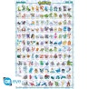 Poster - Roulé et filmé - Pokemon - Pokedex Hoenn