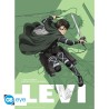 Poster - Pack de 2 - L'Attaque des Titans - Ackermann Set