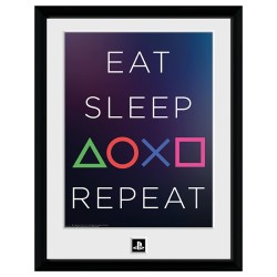 Frame  - Playstation - Eat, Sleep, Repeat