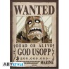 Poster - À plat - One Piece - Monkey D. Luffy