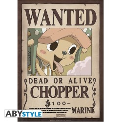Poster - À plat - One Piece - Monkey D. Luffy