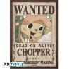 Poster - À plat - One Piece - Monkey D. Luffy
