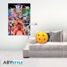 Coussin - Dragon Ball - 4ème boule de cristal