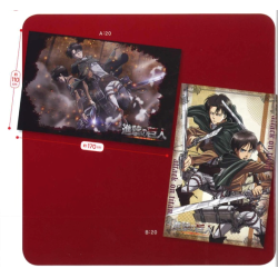 Flag - Attack on Titan - Eren & Levi 