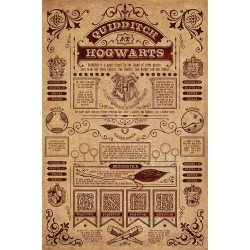 Poster - Harry Potter - Quidditch At Hogwarts