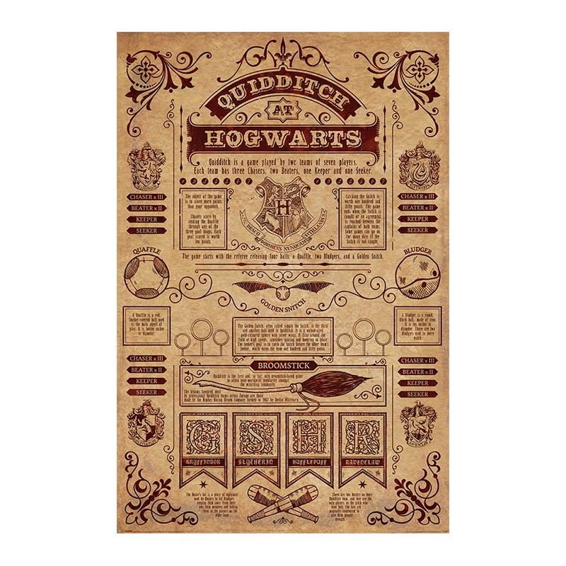 Poster - Harry Potter - Quidditch At Hogwarts