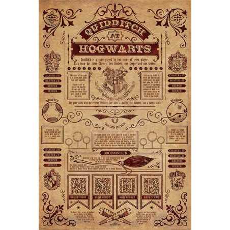 Poster - Harry Potter - Quidditch At Hogwarts