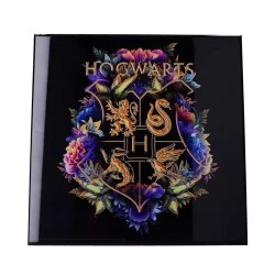 Tableau - Toile - Harry Potter - Hogwarts Fine Oddities