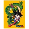 Frame  - Dragon Ball - Shenron