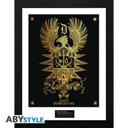 Frame  - Harry Potter - Albus Dumbledore