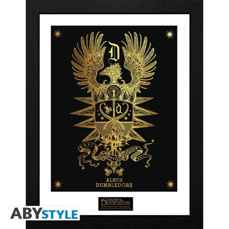 Frame  - Harry Potter - Albus Dumbledore