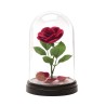 Veilleuse - La Belle et la Bête - La Rose enchantée