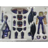 Action Figure - Saint Seiya - Wyvern - Rhadamanthys - Surplis