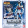 Figurine articulée - Saint Seiya - Pegasus Tenma