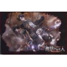 Flag - Attack on Titan - Eren & Levi 