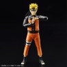 Maquette - Figure Rise - Naruto - Naruto Uzumaki