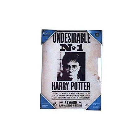 Cadre - Harry Potter - Avis de recherche
