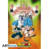 Poster - Roulé et filmé - Dragon Ball - Broly