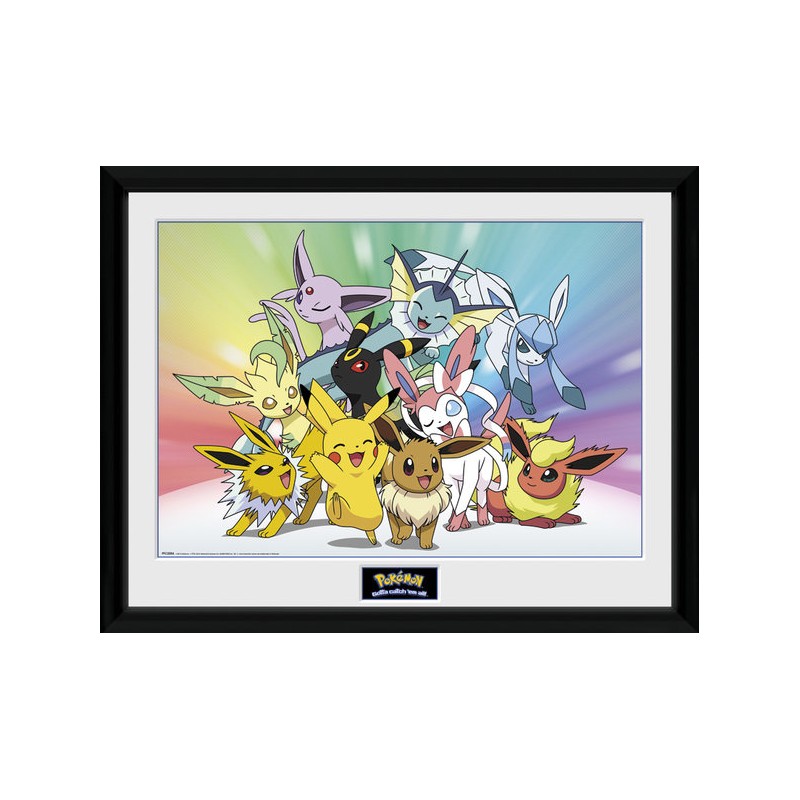 Frame  - Pokemon - Evolution - Eevee
