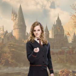 Baguette - Harry Potter - Hermione Granger