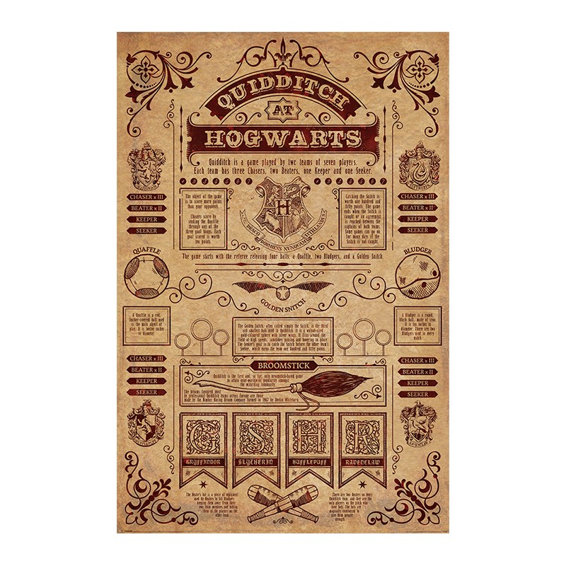 Poster - Harry Potter - Quidditch At Hogwarts