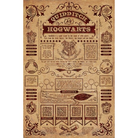 Poster - Harry Potter - Quidditch At Hogwarts