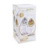 Verre - Thermo-réactif - Harry Potter - Poudlard