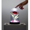 Nightlight - The Beauty and the Beast - The Enchanted Rose