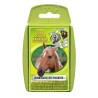 Bataille - Hasard - Pour enfants - Cartes - Divers - Chevaux et Poneys