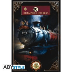 Poster - Arrotolato e termoretraibile - Harry Potter -